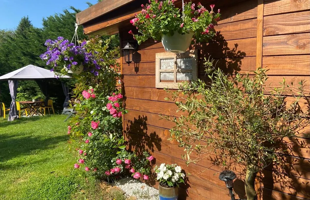 Le Petit Prince au cœur de Sarlat - Parking privé - Piscine chauffée - Spa et massages-1