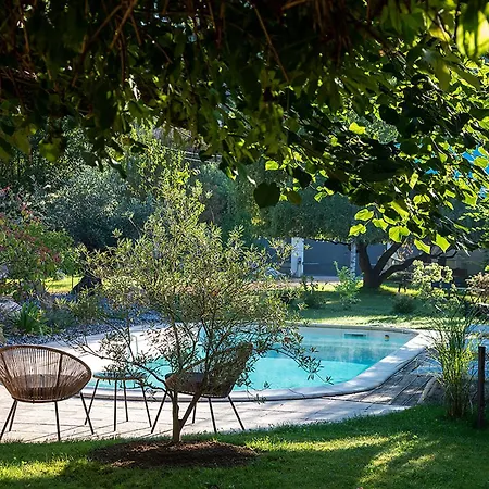 O'Myosotis - 400m Centre Historique - Parking Gratuit - Piscine et Jardin-3