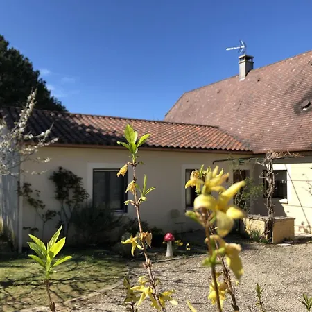 Chambre d'hôtes l'Olivianne-3